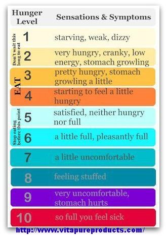 Hunger Scale, Spark People, Nutrition Articles, Intuitive Eating, Lose 50 Pounds, Goji Berries, Diet Tips, Fitness Diet, Healthy Tips