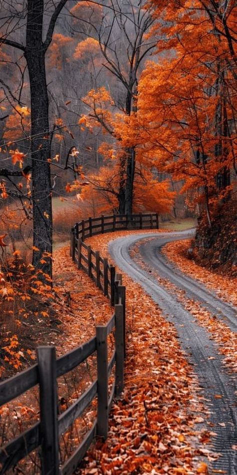 Beautiful Autumn Pictures, Nature Places Aesthetic, Happiness Wallpaper Aesthetic, Happy Mood Wallpaper, Aesthetic Fall Images, Autumn Beauty Wallpaper, Autumn Wallpaper Phone, October Scenery, Autumn Pictures Art