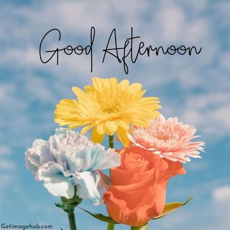 Good Afternoon Images Beautiful, Good Afternoon Post, Good Afternoon Images Hd, Good Afternoon My Love, Midday Slump, Afternoon Messages, Good Afternoon Images, Kisses Quotes, Afternoon Images