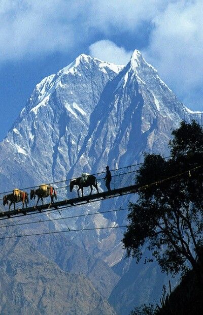 Pukhara Valley Nepal Himalayas Nepal, Monte Everest, Nepal Culture, Nepal Travel, India Travel, Asia Travel, Tibet, Nepal, Trekking