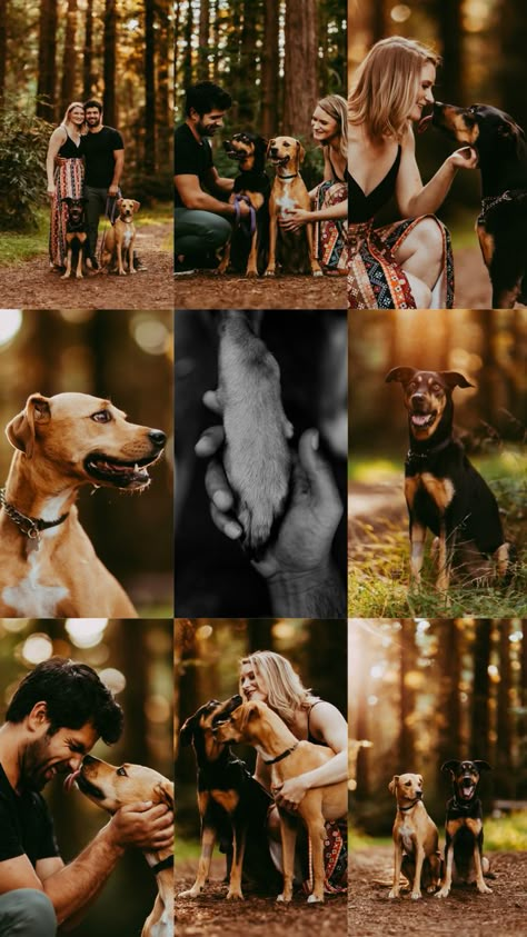 Cute photography poses with dog Family Photos With Pets, Family Dog Photoshoot, Dog And Human, 3 Dogs Together, Photoshoot Ideas With Dogs, Couple Dog Photoshoot, Couples Photoshoot With Dogs, Family Pics With Dogs, Photography Poses With Dogs