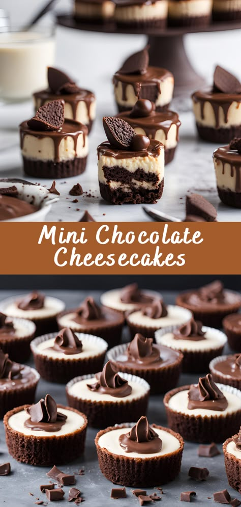 Mini Chocolate Cheesecakes | Cheff Recipes Mini Espresso Cheesecake, Chocolate Cheesecake Mini, How To Sell Cheesecakes, Candy Cheesecake Recipes, Mini Cheesecake Flavors Ideas, Mini Christmas Cheesecake Recipes, Cheese Cakes Design Ideas, No Bake Mini Cheesecake Recipes, Cheesecake Mini Recipes