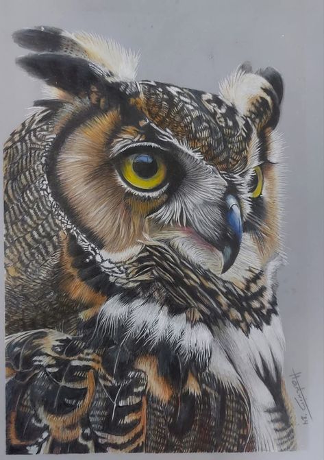 Faber Castell Polychromos Drawing, Pencil Drawing Techniques, Colored Pencil Drawing Techniques, Colored Pencil Art, Winter Drawings, Faber Castell Polychromos, Owls Drawing, Owl Painting, Colored Pencil Drawing