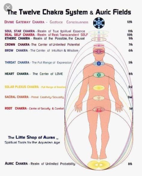 12 chakra system and auric fields 12 Chakras, Keys To The Kingdom, Pranic Healing, Energetic Body, Vibrational Frequency, Chakra System, Energy Medicine, Les Chakras, Reiki Energy