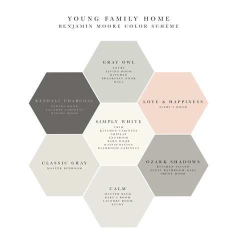 Soothing and elegant Benjamin  Moore whole house color scheme! Moore Kitchen, Color Palets, Best Bedroom Paint Colors, Spec House, Interior Paint Colors Schemes, Future Bedroom, City Condo, Colors Schemes, Paint Color Schemes