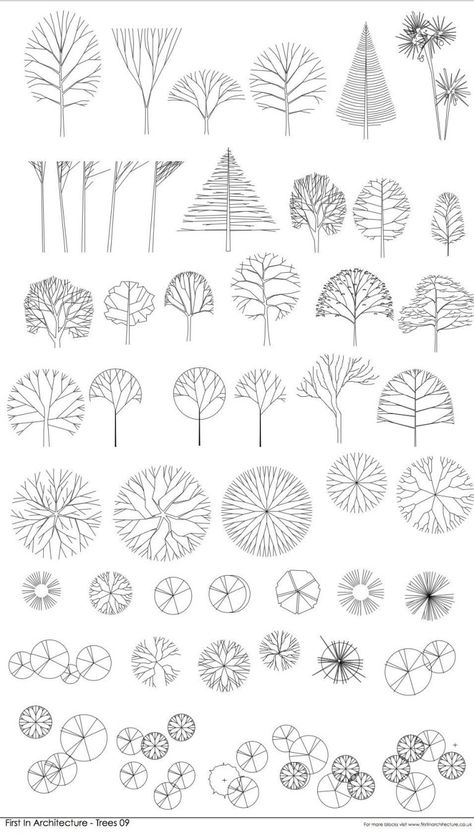 FIA CAD Blocks Trees 09 Trees Architecture, Gothic Architecture Drawing, Tree Architecture, Architectural Trees, Architecture Symbols, Types Of Trees, Landscape Architecture Graphics, Landscape Design Drawings, Architecture Sketches