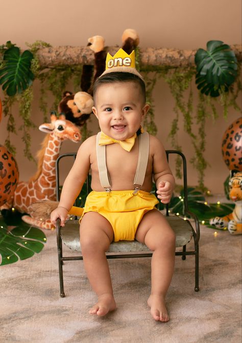 Lion King Birthday Photo Shoot, Safari Theme Photoshoot, Wild One Photoshoot, 1 Year Birthday Photoshoot, Safari Photoshoot, Safari Bebe, Birthday Shoots, Safari Baby Mobile, Lion King Party