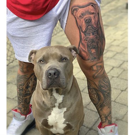 American Bully Tattoo, Dog Portrait Tattoo, Pitbull Tattoo, Blue Nose Pitbull, Dog Cover, City Tattoo, Birth Flower Tattoos, Cover Up Tattoo, Boy Dog