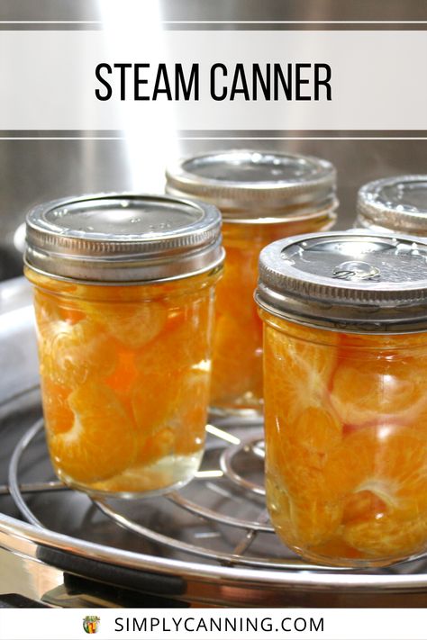 Steam Canner Recipes, Steam Canning Recipes, Steam Canning, Canning Equipment, Water Bath Canning, Steam Bath, Canning Tomatoes, Home Canning, Pressure Canning