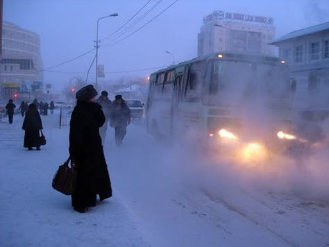 Russian Aesthetic, Siberia Russia, Russian Winter, Weird News, Winter Vibes, Blue Hour, Dog Sledding, 영감을 주는 캐릭터, Winter Aesthetic