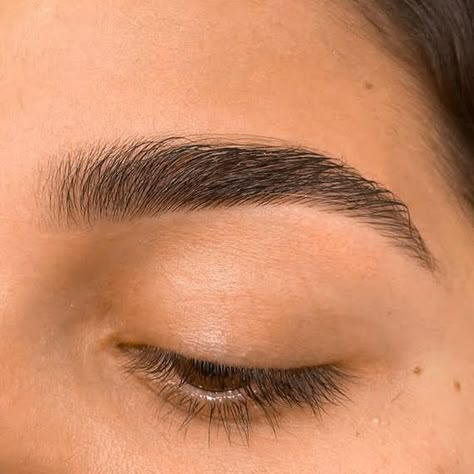 Eyebrow Claim, Soft Arch Brows, Arched Eyebrows Natural, Soft Arch Eyebrows, Neat Eyebrows, Symmetrical Brows, Nice Eyebrows, Good Eyebrows, Good Brows