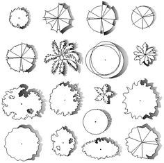 Architectural renderings of trees used in architectural drawings- maybe logo inspiration for a "green" company Autocad Trees, Tree Plan Photoshop, Architectural Trees, Trees Top View, Landscape Design Drawings, Landscape Architecture Drawing, Tree Plan, Tree Sketches, Landscape Sketch