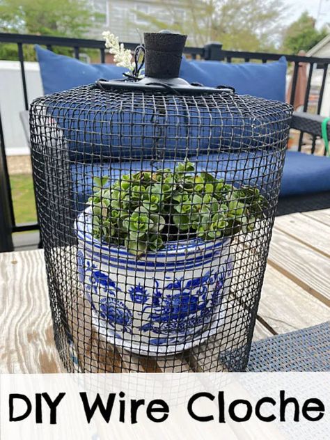 DIY wire cloche Wire Cloche, Cloche Ideas, Garden Cloche, Plant Cages, Hardware Cloth, Backyard Plants, Container Garden, Diy Plants, Garden Crafts