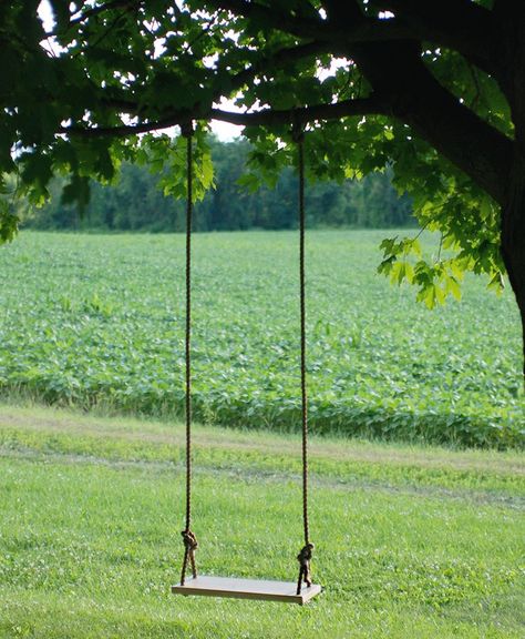 DIY Tree Swing @themerrythought Tree Swings Diy, Tree Swings, Backyard Swings, Diy Tree, Tree Swing, Outdoor Diy Projects, Outdoor Swing, Backyard Diy Projects, Backyard Projects