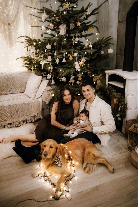 Christmas Photo Couple And Dog, Christmas Photos Dogs Family, Christmas Family Photoshoot With Dog, Christmas Photos Couple And Dog, Dog And Owner Photoshoot Christmas, Photoshoot Christmas Family, Christmas Photoshoot Ideas With Dog, Christmas Photos With Pets, Family Christmas Pictures With Dog