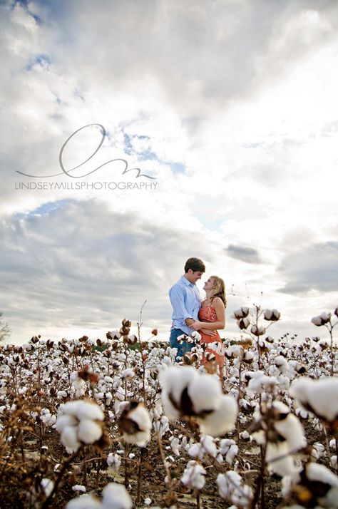 lindsey mills photography | engagement | cotton field | farm#ChristmasCardIdeas #HolidayPhotoInspo #FestiveFamilyPhotos #CozyChristmasCaptures #DIYChristmasCards #HolidayCardInspiration #ChristmasPhotoShoot #SeasonalSnaps Cotton Field Photography, Cotton Pictures, Field Photography, Family Christmas Pictures, Anniversary Pictures, Cotton Fields, New Camera, Pictures Wedding, Christmas Family Photos