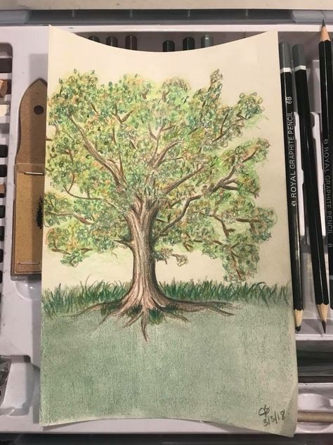 Drawing Trees With Colored Pencils, Color Pencil Tree Drawing, Tree Drawing Colored Pencil, Tree Colored Pencil, Big Tree Drawing, Colored Pencil Sketchbook, Bible Scrapbook, Rebirth Art, Trees Drawing Tutorial