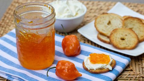 Easy to make habanero jelly that is great with crackers and cream cheese. Simple canning with instructions for using the Ball FreshTECH Jam and Jelly Maker. Mango Habanero Pepper Jelly Recipe, Mango Habanero Glaze, Habanero Mango Jelly, Mango Habanero Jelly Recipe, Mango Habanero Jelly, Mango Habanero Jam Recipe, Habanero Jelly Recipe, Crackers And Cream Cheese, Habanero Pepper Jelly