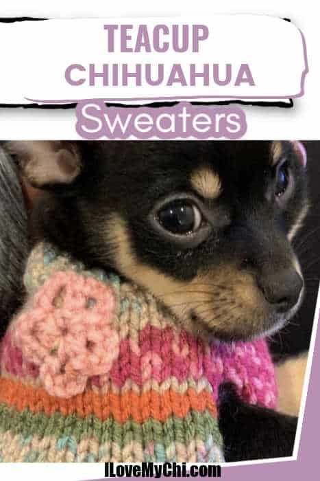 Tiny Dog Sweater Knitting Pattern, Crochet Puppy Sweater Xxs, Crochet For Chihuahua, Tea Cup Chihuahua Crochet Sweater, Chihuahua Sweater Pattern Free, Teacup Chihuahua Crochet Sweater Pattern Free, Crochet Tiny Dog Sweater Free Pattern, Tiny Dog Sweater Crochet Pattern, Easy Crochet Dog Sweater Free Pattern