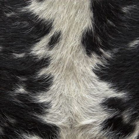 Animal hides can be tanned with the hair on to preserve a rustic look. Best Way To Tan, Tanning Deer Hide, Hide Tanning, Tanning Hides, How To Tan, Tanning Skin Care, Deer Hide, Animal Hide, Bushcraft Camping