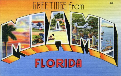 Florida Core, Retro Florida, State Stickers, Beach Souvenirs, Pioneer Days, Letter Vintage, Miami Nights, The Godmother, Vintage Postcards Travel