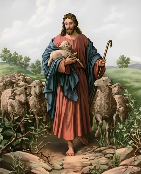 Jesus The Shepherd, Jesus Pic, Jesus Shepherd, Jesus The Good Shepherd, Christ The Good Shepherd, Catholic Artwork, Catholic Pictures, Jesus Christ Painting, Spiritual Images