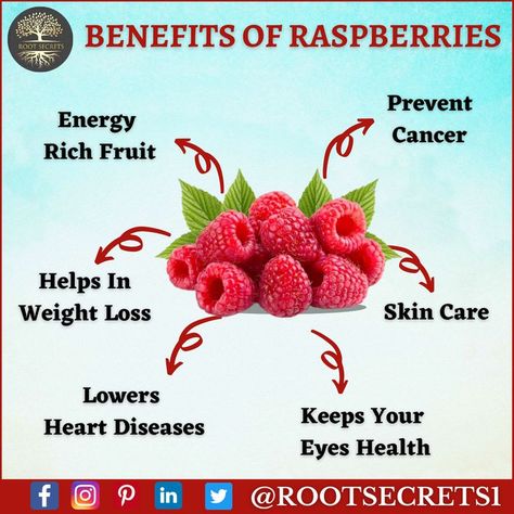 HEALTH BENEFITS OF RASPBERRIES Raspberry Benefits, Healing Foods, Fruit Benefits, Mood Enhancers, Health Habits, Healing Food, Planting Herbs, Eye Health, Health Benefits