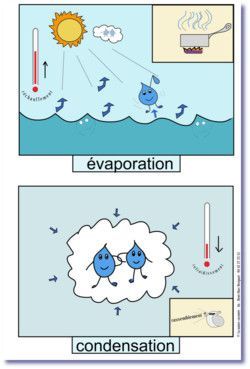 Sdg 5, Grade 2 Science, Science Experience, Steam Projects, Primary Science, Mad Science, Water Cycle, Primary Education, Iphone Wallpaper Quotes Love