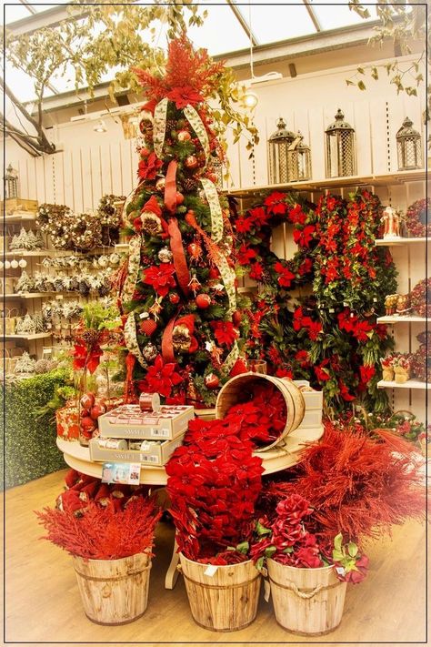 Christmas Garden Center Displays, Christmas Merchandising Retail Displays, Christmas Flower Shop Display, Red Theme Christmas Tree, Christmas Store Displays Retail, Christmas Merchandising, Florist Window Display, Christmas Grotto Ideas, Christmas Store Displays