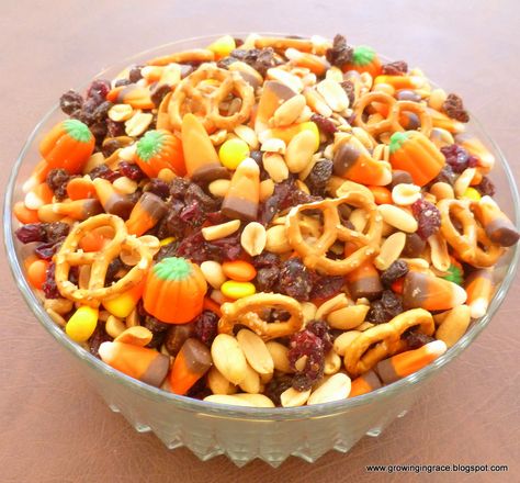 Reese's Pieces, Pumpkin Carving Party, Autumn Party, Indian Corn, Mini Pretzels, Party Mix, Chex Mix, Fall Treats, Fall Party