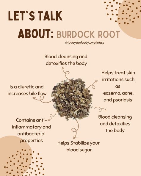 Medicinal Herbs Remedies, Books And Tea, Herbal Education, Natural Antibiotic, Medicinal Herbs Garden, Medical Herbs, Magic Herbs, Burdock Root, Herbal Apothecary