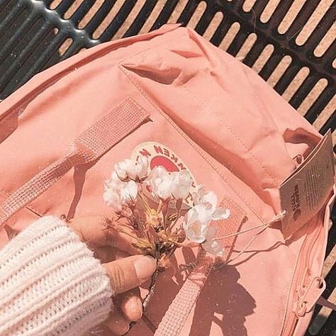 🌈🌈rainbow aesthetics 🌈🌈 on Instagram: “🍑 - what your favourite style fjallraven kanken? - #peach #peachy #peachaesthetic #peachyy #peaches #peachaesthetics #pinterest…” Photowall Ideas, Peach Aesthetic, Orange Aesthetic, Pastel Pink Aesthetic, Pink Vibes, Aesthetic Colors, Aesthetic Themes, Aesthetic Images, Peachy Pink