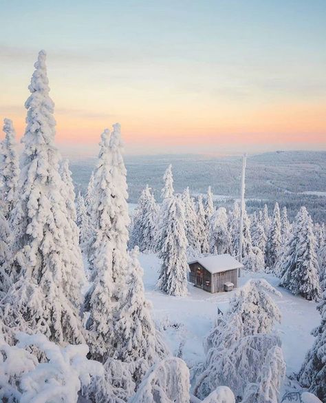 Lapland Christmas, Cozy Cabin In The Woods, Snow Valley, Lapland Finland, Destination Voyage, Winter Beauty, Winter Pictures, Winter Wonder, Cabins In The Woods