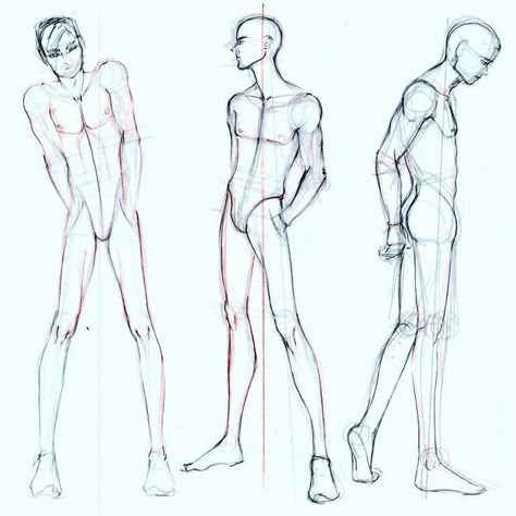 Drawing Poses Male, Male Body Drawing, Male Figure Drawing, Human Figure Drawing, Anatomy Sketches, Drawing Help, Body Reference Drawing, Male Anatomy, Anatomy References