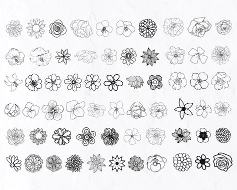 60 Hand Drawn Flowers SVG Bundle Floral Line Art Svg Hand - Etsy Plants Line Art, Drawn Plants, Line Art Svg, Simple Flower Drawing, Svg Flowers, Clothes Printing, Line Art Flowers, Floral Line Art, Doodle Art Flowers