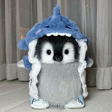 Pinguin Cute, Pet Costume Ideas, Halloween Penguin, Penguin Pfp, Funny Pet Costumes, Funny Animal Images, Desain Buklet, Cut Animals