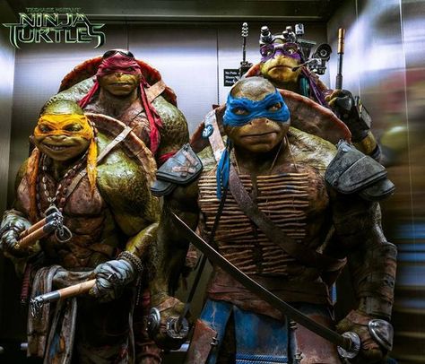 MC Mikey Ninja Turtles 2014, Ninja Turtles 2, Teenage Mutant Ninja Turtles Movie, Hulk Character, Turtle Top, Turtle Wallpaper, Ninja Turtles Movie, Tmnt Movie, Michael Bay