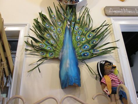 Palm Frond Peacock displayed at Marco Island Historical Museum, Marco Island, FL. Seed Pods Art, Palm Tree Crafts, Palm Leaf Art, Palm Frond Art, Palm Branch, Acrylic Painting Diy, Palm Tree Art, Palm Tree Leaves, Historical Museum