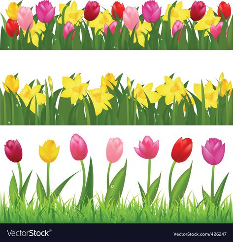 Tulips Background, Flower Borders, Page Borders Design, Spring Background, Butterfly Illustration, Floral Border Design, Paper Flower Template, Spring Tulips, Clip Art Borders