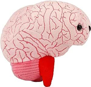 Amazon.com: GIANTmicrobes Brain Plush, Brain Toy, Brain Stuffed Animal, Brain Gifts For Neurologist, Brain Surgery Recovery Gifts, Neurology Gifts, Neuroscience Gifts, Brain Injury Gift, Brain Decor, Biology Gift : Toys & Games Brain Surgery Recovery, White Coat Ceremony Gift, Surgery Recovery Gift, Fun Brain, Get Well Wishes, Recovery Gifts, Medical Gifts, Brain Surgery, Surgery Recovery