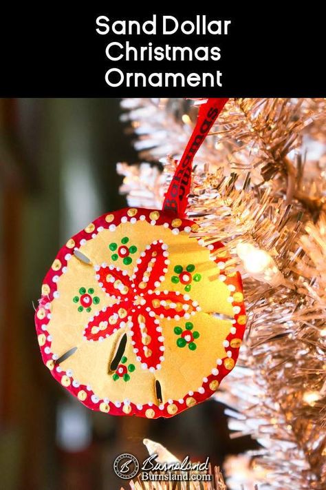 Sand Dollar Christmas Crafts, Painted Sand Dollars Christmas, Christmas Sand Dollars, Painting On Sand Dollars, Sanddollar Ornaments Diy, Painted Sand Dollars Ideas, Sand Dollar Christmas Ornaments Diy, Painting Sand Dollars, Sand Dollar Christmas Ornaments