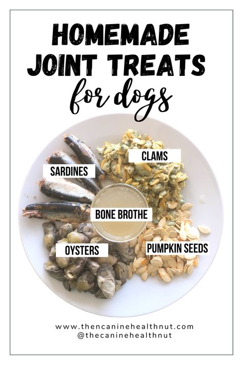 These frozen dog treats are packed with ingredients that support the overall health of your pup's joints and can be modified with different additional supplements depending on how much additional joint support your dog needs as they age. DIY Dog Treats | Homemade Dog Treats | DIY Doggie Treats | Joint Treats for Dogs | Frozen Dog Treats | Dog Joint Supplement | Dog Arthritis The Canine Health Nut @thecaninehealthnut Diy Dog Food Toppers, Homemade Meat Dog Treats, Food For Arthritic Dogs, Dehydrated Dog Treats, Organic Dog Treat Recipes, Homemade Dog Supplements, Diy Dog Treats For Joints, Diy Organic Dog Treats, Diy Dog Supplements