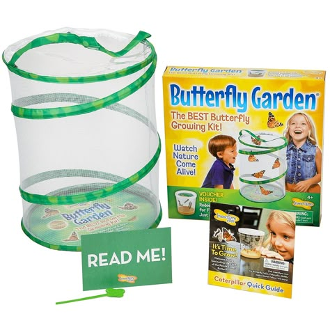 Fast Crafts, Camp Projects, Birthday 20, Butterfly Kit, Butterfly Habitat, Diy Butterfly, Grow Kit, 90s 2000s, Reading Ideas