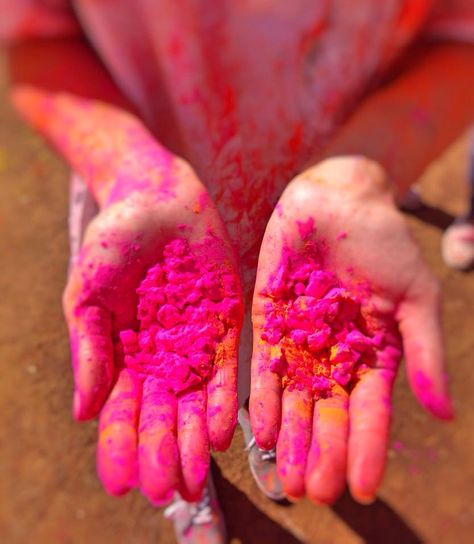 HOLI JAIPUR 2016 Holi Festival Photography, Holi Colours Images, Holi Post, Bura Na Mano Holi Hai, Sunrise Photography Nature, Happy Holi Video, Holi Pictures, Holi Powder, Watercolor Party