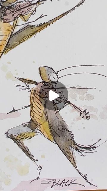 Jennifer Black Reinhardt on Instagram: "We have a very noisy cricket in our basement who is driving us bonkers. But I wonder… perhaps he believes that he’s serenading us with beautiful music? 🎶🦗

#cricket #bug #watercolor #workinprogress #wip #art #artist #illustrator #illustratorsoninstagram #sketch #jenniferblackreinhardt #jenniferblackreinhardtillustration #jbreinhardt #childrensbook #picturebook #illustration" Cricket Bug, Bug Watercolor, Jennifer Black, Beautiful Music, Illustrators On Instagram, Picture Book, Art Artist, Basement, Childrens Books