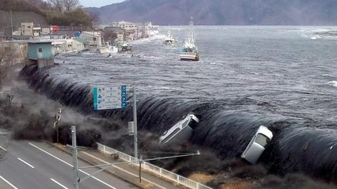 A tsunami's magnetic field arrives even before the telltale receding of seawater. Tsunami Waves, Tsunami Warning, Huge Waves, Social Studies Lesson, Popular Science, Magnetic Field, Science Lessons, Art Deco Interior, Natural Disasters