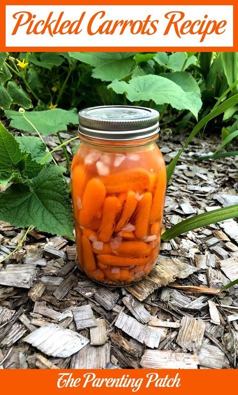 On a recent trip to California, my family discovered pickled carrots. I have made many kinds of pickled cucumbers in the past, so I decided to try my hand at pickled carrots. Using a few basic ingredients, I came up with a recipe that my family loved. I chose to can in a water-bath, but you could use a pressure canner to make larger batches. Ingredients 1 cup of water 1 cup of distilled white vinegar 1 tablespoon of kosher salt 1 teaspoon of mustard seed 1 teaspoon of dill seed 1/4 cup of ... Pickled Carrots Recipe, Homestead Recipes, Homemade Cleaners Recipes, Pickled Cucumbers, Trip To California, Cauliflower Gratin, Pizza Style, Carrots Recipe, Pickled Carrots