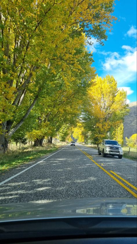 #queenstown #autumn #nature #trees #drives #roadtrip #nz #newzealand Newzealand Roadtrip, Autumn Nature, Queenstown, Fall Autumn, New Zealand, Road Trip, Trees, Travel, Quick Saves