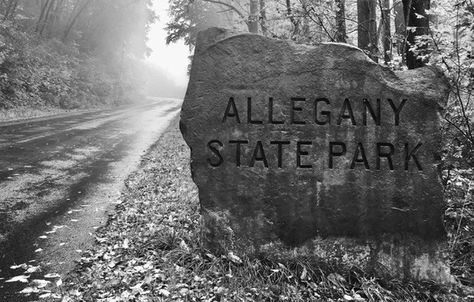 Haunted Hikes: Allegany State Park – Spook-Eats Allegany State Park, Real Bigfoot, Bigfoot Encounters, Biological Anthropology, Western New York, Strange Places, Unusual Animals, Camping Trips, Natural World