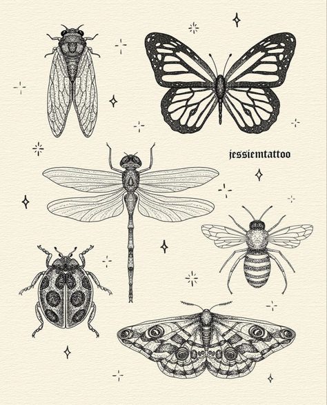 Tattoo Homme, Insect Tattoo, Bug Tattoo, Doodle Tattoo, Tattoo Portfolio, Tattoo Project, Tattoo Art Drawings, Dream Tattoos, Design Drawings